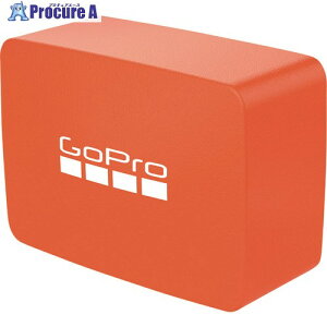 GoPro t[gobNhA(Ver3.0) AFLTY-005 1 255-4508