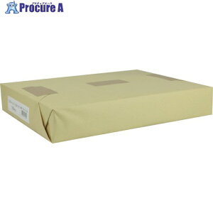 LOR[| GR{[A3 303×424mm 100 EBA3100 1pbN 257-0247