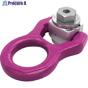 RUD ACPgl[h[2.5t-M16 ACP-2.5T-M16 1 269-0630