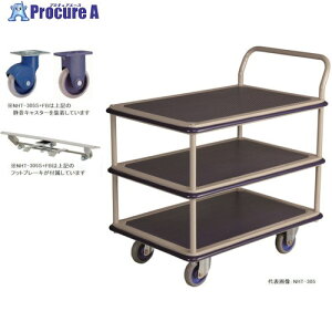  ^ÉX`[3iԃtbgu[Lt NHT-305S+FB 1 288-6216 ysxρz