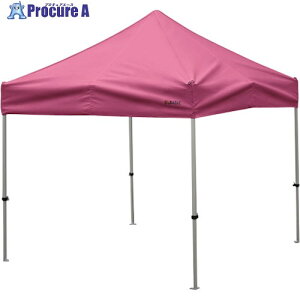  񂽂Ă 2.4m×2.4mI[A~t[ sN KA/3WA-P 1 338-1891 ysxρz