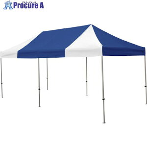  񂽂Ă 3.0m×6.0X`[A~t[  KA/8W-BW 1 338-1965 ysxρz