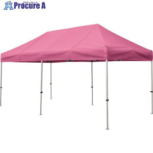  񂽂Ă 2.4m×4.8mX`[A~t[ sN KA/5W-P 1 338-2438 ysxρz