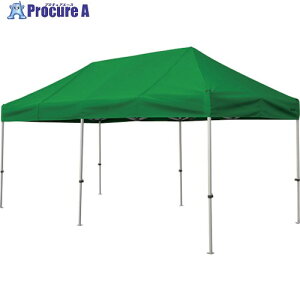  񂽂Ă 2.4m×4.8mX`[A~t[  KA/5W-G 1 338-2439 ysxρz