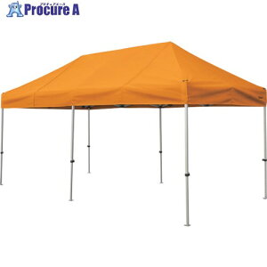  񂽂Ă 2.4m×4.8mX`[A~t[ IW KA/5W-OR 1 338-2539 ysxρz