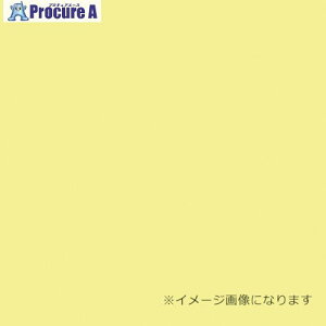 O[NX EbhbNpl J[ CG[ 5mm 910×1820 F 20 6300020596 1S 354-5669 lls