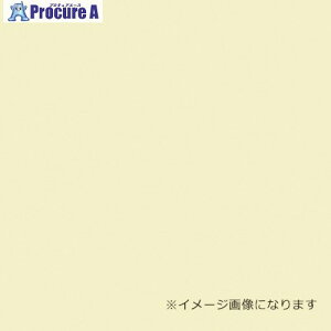 O[NX EbhbNpl J[ N[ 5mm 760×1080 F 40 6300020522 1S 354-5671 lls