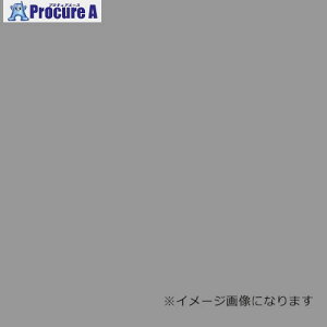 O[NX EbhbNpl J[ O[ 5mm 760×1080 F 40 6300020520 1S 354-8824 lls