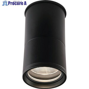 �R�c �����Ɩ� 1209lm �d���F �� AD-3255-L 1�� ����365-0063 �y�����s�x���ρz