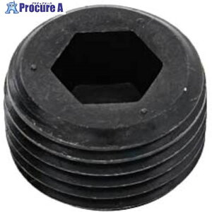 SUNCO XeGOSHOvO NPTF( GDL 1/2 (1{) A0-02-5840-8040-0000-00-1 1pbN 371-0085 ysxρz