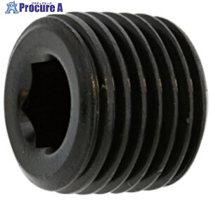 SUNCO SUS�v���OA(���� PT 3/4 (1�{��) A0-02-5700-8060-0000-00-1 1�p�b�N ����371-1621 �y�����s�x���ρz