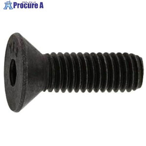 SUNCO SUS�T��CAP(UNC5/16-18X2�h(1�{��) A0-02-2030-8025-8200-00-1 1�p�b�N ����371-7939 �y�����s�x���ρz
