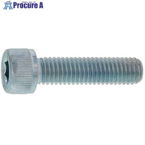 SUNCO A-C22 CAP(�Z�p���t���{���g) 6×25 (1�{��) A0-A1-0000-0060-0250-00-1 1�p�b�N ����377-7296 �y�����s�x���ρz