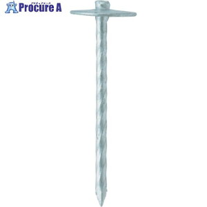 WAKAI (W)Xp[g ˂PB Xp[g 2.6X41 3641R11 1 385-8517 ysxρz