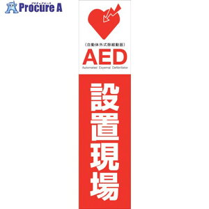 �O���[���N���X AED�̂ڂ� AEDN-01 6300025714 1�� ����386-4940 ���l��l����s��