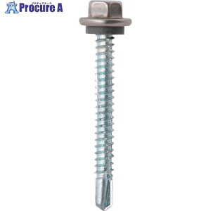 WAKAI �_���o �ܓ��� �X�e���L���b�v�哪 5X19 62C5019 5�� ����387-2827 �y�����s�x���ρz