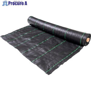 O[NX hV[g 2m×50m (U) 6300021133 1{ 390-2319 lls