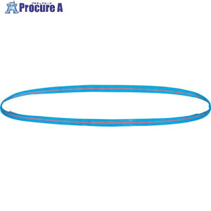 TESAC ブルースリング(JIS4等級・エンドレス形)荷重3.2t全長3.75m 4N35X3.75 1本 ■▼402-4004 【送料都度見積】