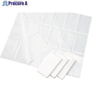 ACebNX fBX|V[c 900mmx1000mm 10 ADS-910-1 10 408-9334