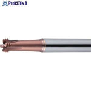 MOLDINO �G�|�b�N.D�X���b�h�~�� EDT-2-48-TH 1�{ ����409-9926 �y�����s�x���ρz