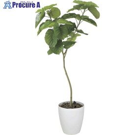 グリーンクロス ウンベラータ 1.8m 6300029277 1個 ■▼410-2209 ※個人宅様送り不可