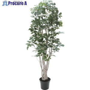 O[NX VFt S155cm 6300029240 1 410-3721 lls