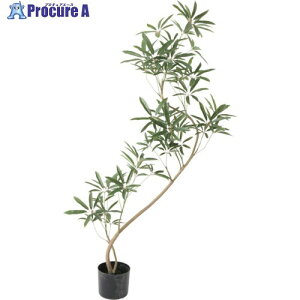 O[NX VFtAKXeBtHA S137cm 6300029249 1 410-3732 lls