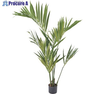 O[NX P`V S150cm 6300029246 1 410-3738 lls