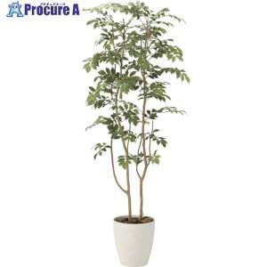 �O���[���N���X �}�E���e���A�b�V��1.6m 6300029263 1�� ����410-3791 ���l��l����s��