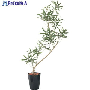 O[NX 130cmVFtAKXeB|bg BKL 6300029312 1 410-3792 lls