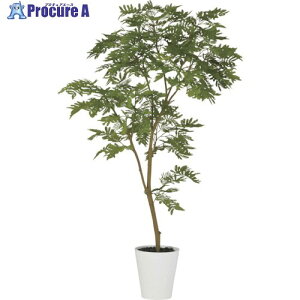 O[NX Go[tbV1.5m 6300029325 1 410-3797 lls