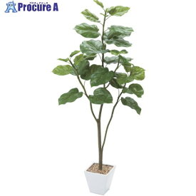 グリーンクロス ウンベラータ 全長120cm 6300029179 1個 ■▼410-3813 ※個人宅様送り不可