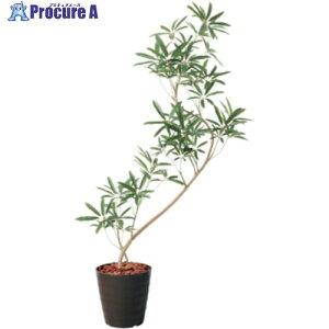 O[NX 130cmVFtAKXeB|bg BRL 6300029313 1 410-5308 lls