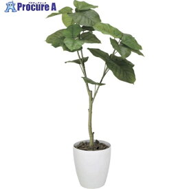 グリーンクロス ウンベラータ1.2m 6300029255 1個 ■▼410-5340 ※個人宅様送り不可