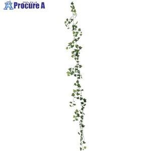 O[NX [XACr[K[h S180cm 6300029212 1 410-5388 lls