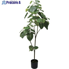 グリーンクロス ウンベラータ 全長180cm 6300029234 1個 ■▼410-5399 ※個人宅様送り不可