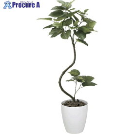 グリーンクロス インテリアウンベラータ1.65m 6300029268 1個 ■▼410-8125 ※個人宅様送り不可