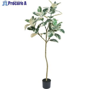 O[NX tBJXAeV} S150cm 6300029250 1 410-8155 lls