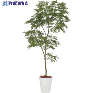 O[NX Go[tbV1.8m 6300029324 1 410-8158 lls