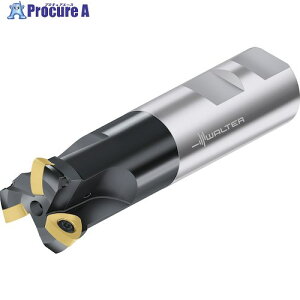 Walter Jb^[ F2330.UW31.038.Z03.01A5 1 411-0800 ysxρz O585