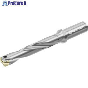 Walter �`�b�v�������h���� D4140 D4140-05-24.00A25-G 1�{ ����411-1330 �y�����s�x���ρz ��O585