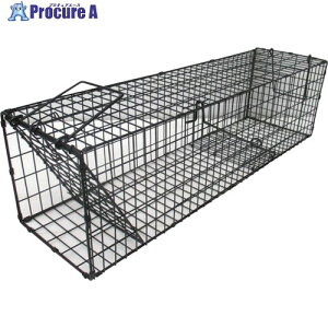 O[NX X[p[ߊl  L^ 6300028756 1 411-8460 lls