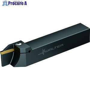 Walter VNH OaaH G1011 G1011.2525L-4T32GX24 1 411-8742 O585