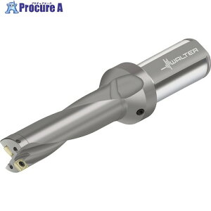 Walter �`�b�v�������h���� D4120 D4120-04-53.00F40-P48 1�{ ����411-8908 �y�����s�x���ρz ��O585