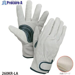 O[NX v}WbN 260KR-LA 6300028813 1S 412-1672 lls