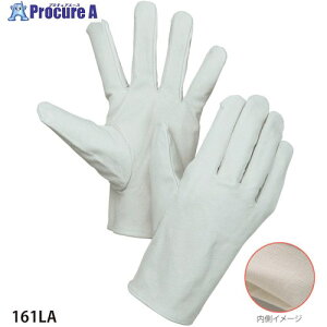 �O���[���N���X �썑�N���X�g���ȕt 161LA 6300028841 1S ����412-3183 ���l��l����s��