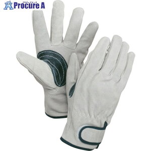 O[NX v}WbN 260T 6300028812 1S 412-3194 lls