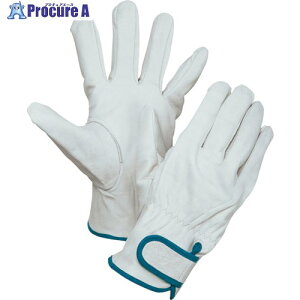 O[NX NXg}WbN M 111W-M 6300028830 1S 412-3244 lls