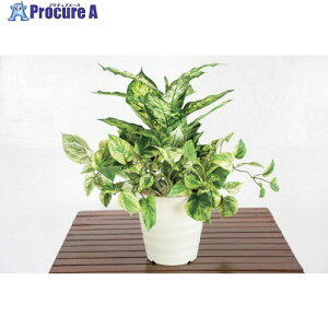 O[NX lH/lHϗtA fBtFoLAA 6300028770 1 412-7792 lls