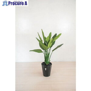 O[NX lH/lHϗtA Xg`A 6300028783 1 412-7805 lls